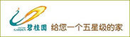 碧桂园集团
