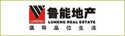 鲁能集团