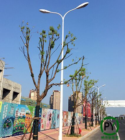 6米50瓦led路灯